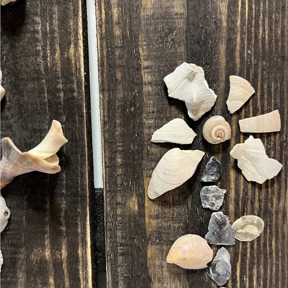 SeaShell Flower Coastal Theme Beach Decor Wall Hanging Wood Pallet Shell Art - Picture 6 of 13